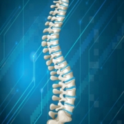 Posture Perfect: Tips for Maintaining a Healthy Spine