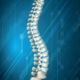 Posture Perfect: Tips for Maintaining a Healthy Spine