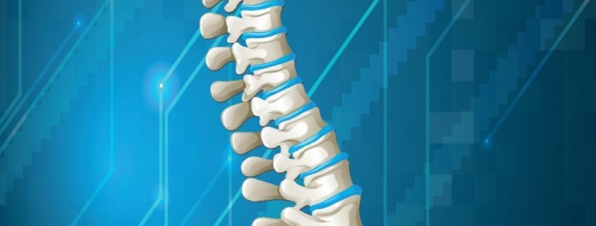 Posture Perfect: Tips for Maintaining a Healthy Spine