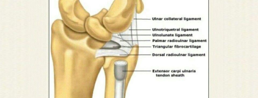 Triangular Fibrocartilage Complex (TFCC) Injuries