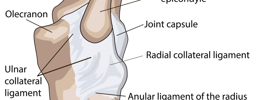 Ulnar Collateral Ligament Injuries