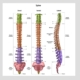 The Backbone of Your Health: The Importance of a Healthy Spine