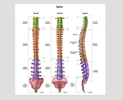 5 Surprising Everyday Activities That Boost Your Spine Health