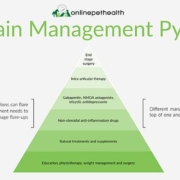 Pain Management: A Multifaceted Approach to Finding Relief