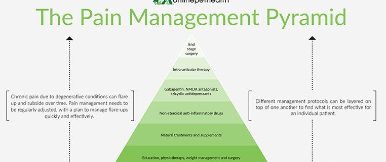 Pain Management: A Multifaceted Approach to Finding Relief