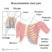 7 Practical Tips for Managing MSK Pain While You Work