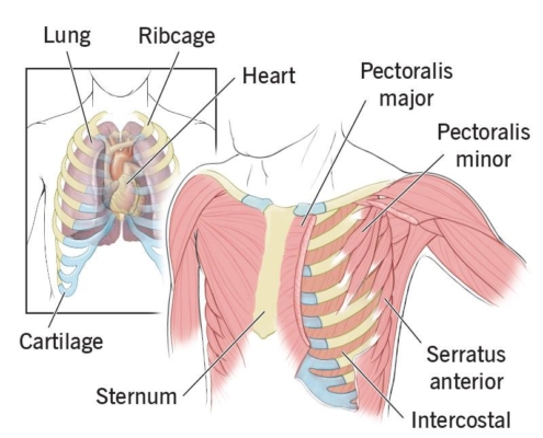 7 Practical Tips for Managing MSK Pain While You Work