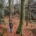 Hiking for Happy Joints: Embracing Nature’s Remedy